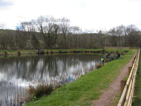 Penallta Park Ponds