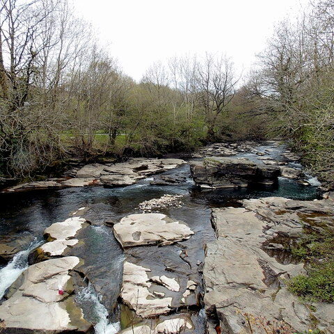 Tiryberth